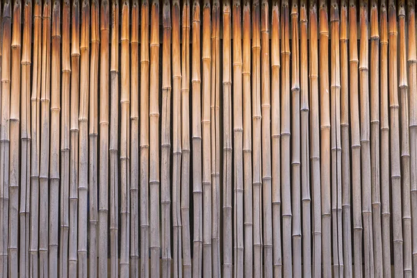 Bamboe hout textuur en achtergrond. — Stockfoto