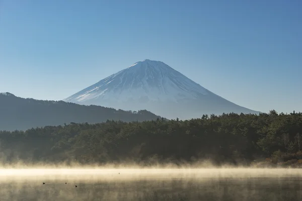 Vista del monte Fuji desde el lago Saiko. Yamanashi, Japón —  Fotos de Stock