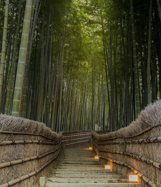 Foresta di bambù in Giappone, Arashiyama, Kyoto — Foto Stock