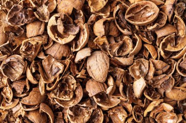 Arka plan olarak ceviz kabukları. Boş ceviz kabuğu dokusu. Biyolojik çözünür gıda atıkları ve kabukları. Fındık ekini konsepti. Tam kare. Üst görünüm.