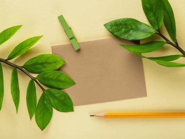 Boş kahverengi kağıt kart, basit kalem ve sonsuz Zuzu bitkisinin taze yeşil yaprakları ya da pastel sarı arka planda Zamioculcas zamiifolia. Yaşayan yeşil çevre dostu yaşam tarzı. Uzayı kopyala Üst görünüm. 