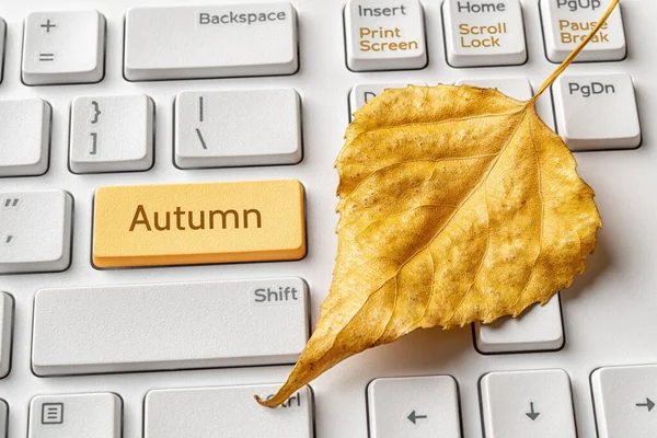 Yellow key with Autumn word and fallen leaf on a white computer keyboard. Autumn sales, holidays, school and working season concepts. Keypad enter button with message. Top view.