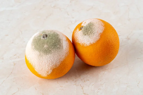 Dos Naranjas Podridas Cubiertas Con Moho Verde Blanco Una Mesa — Foto de Stock