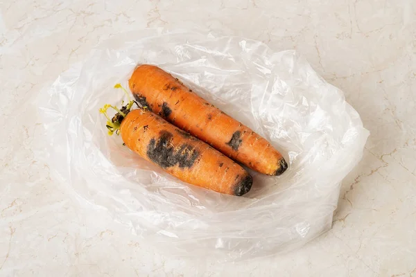 Black mold stains on two raw carrots in a plastic bag on a kitchen table. Fungal mold on rotten carrots. Spoiled fruits and vegetables. Food forgotten in the fridge. Biodegradable food waste. Close-up.