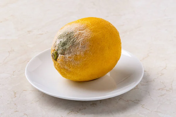 Spoiled lemon on a white saucer close-up. White green fungal mold on a rotten citrus close-up. Fruit spoiled due to storage for too long. Food forgotten in the fridge. Biodegradable food waste. Front view.