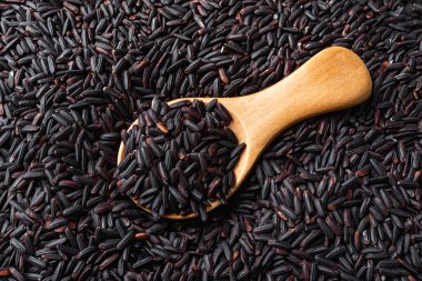 Koyu pirinç tanelerinin üzerine tahta bir kaşıkta çiğ siyah pirinç. Sağlıklı beslenme ve vejetaryen beslenme için kompleks karbonhidrat kaynağı olarak pişmemiş organik siyah pirinç taneleri. Üst görünüm.