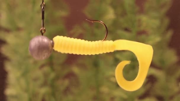 Fiskeri Soft Plastic Lure – Stock-video