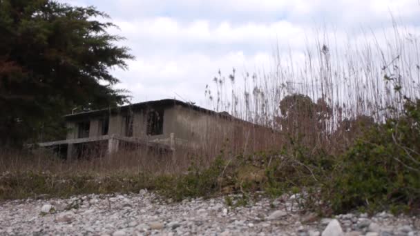 Bush deniz kıyı, terk edilmiş binada — Stok video