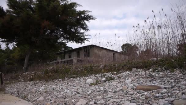 Verlaten gebouw in Bush op zee kustlijn — Stockvideo