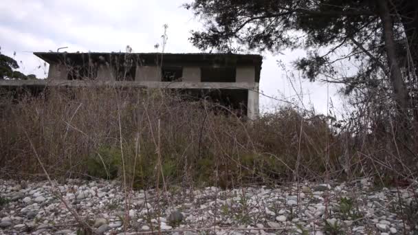 Abandoned Building in Bush at Sea Shoreline — Stock Video