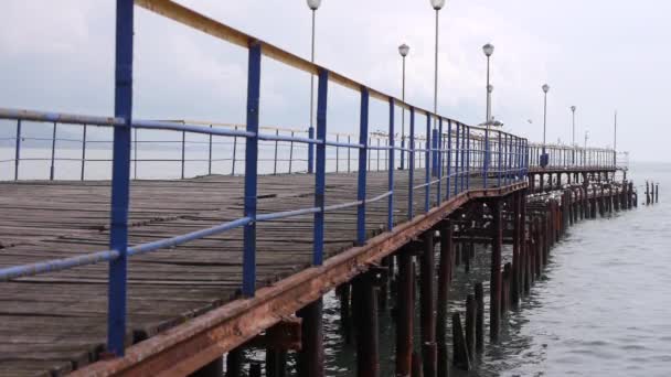 Sea Meeuwen op oude houten Pier — Stockvideo