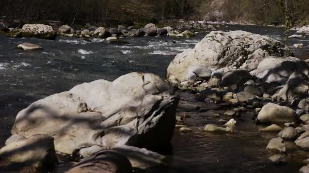 Горная река среди деревьев и камней в ущелье — стоковое видео