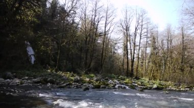 Dağ şelale ve River Gorge