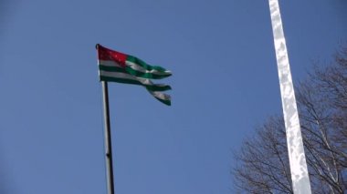 Abhazya Cumhuriyeti bayrağı