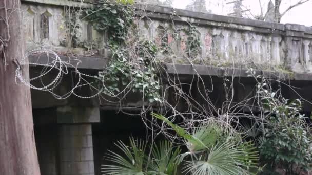 Old Balustrade with Barbed Wire — Stock Video