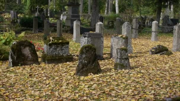 Cemetría antigua — Vídeo de stock