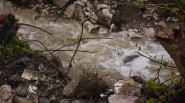 Köprü altında yol boyunca Creek