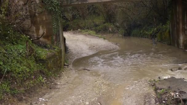 Creek κατά μήκος το δρόμο κάτω από την γέφυρα — Αρχείο Βίντεο