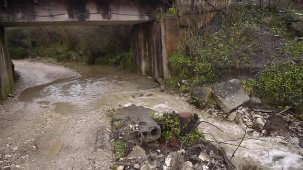 Creek a lo largo de carretera bajo puente — Vídeos de Stock