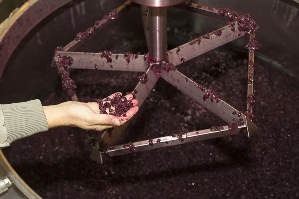 Vinproduktion 4 Stockbild