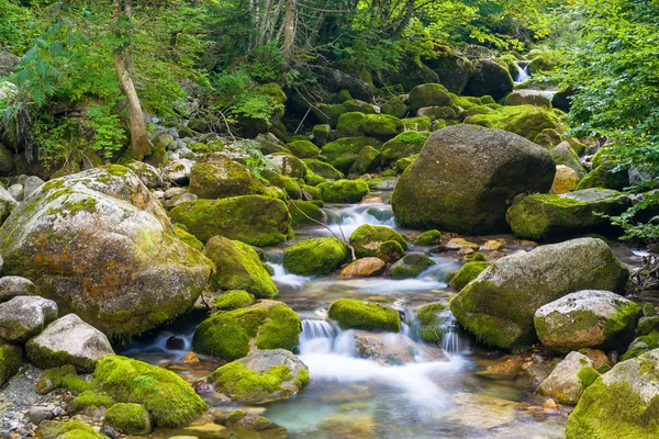 Creek w Alpy Liguryjskie — Zdjęcie stockowe