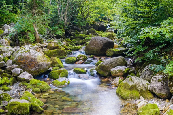 Creek in de Ligurische Alpen — Stockfoto