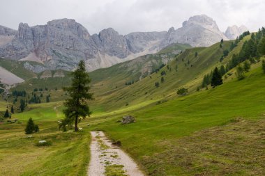 Dolomites'in vadide Fuciade
