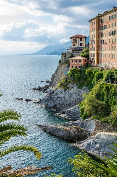 Barevné Domy Námořní Vesnice Camogli Italské Riviéře Portofina — Stock fotografie