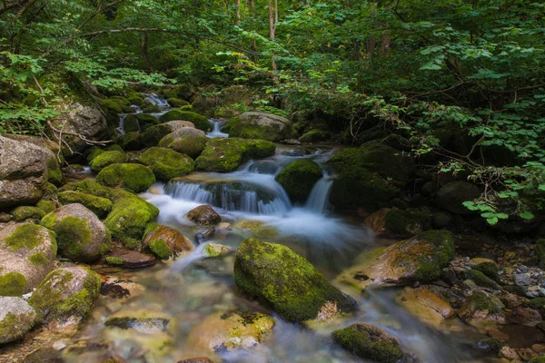 Bach im Pesiotal — Stockfoto