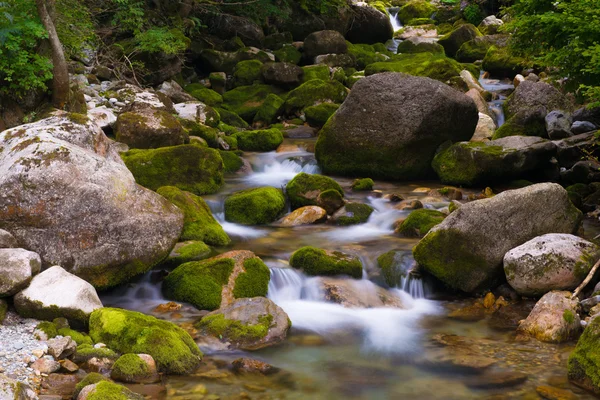 Creek w valle pesio — Zdjęcie stockowe
