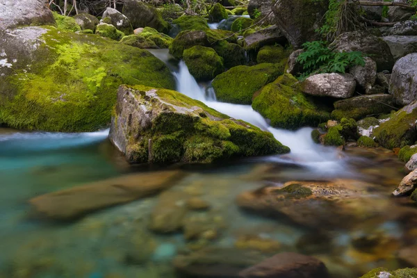 Creek w valle pesio — Zdjęcie stockowe
