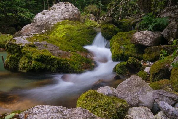 Bach im Pesiotal — Stockfoto