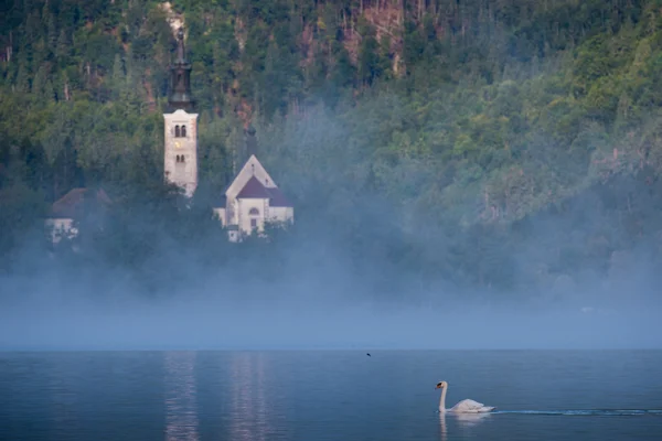 Lago Bled na Névoa — Fotografia de Stock