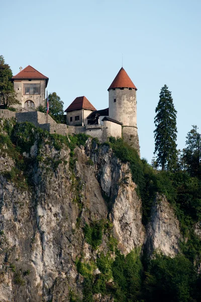 Château de Bled — Photo