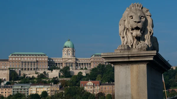 Chain Bridge в Будапеште — стоковое фото