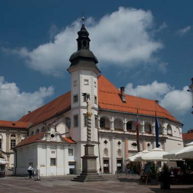 Castle of Maribor clipart