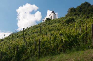 Maribor Piramida Hill