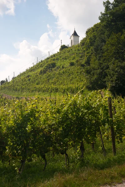 Piramida Hill i Maribor - Stock-foto