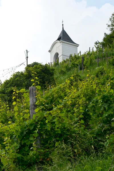 Piramida Hill in Maribor — Stock Photo, Image