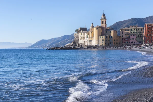 Camogli bazilika Santa Maria dell'Assunta — Stok fotoğraf