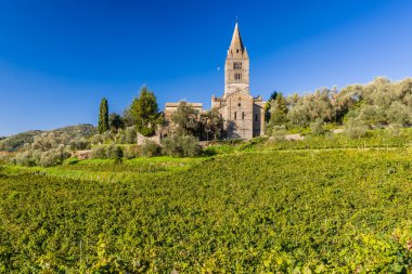 Fieschi Basilica San Salvatore di Cogorno içinde