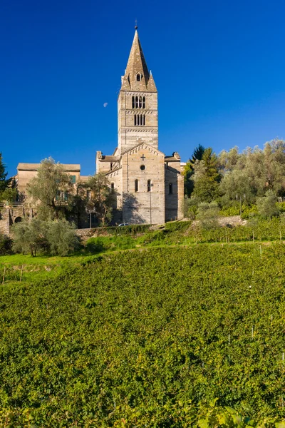 Basílica de San Salvador de Cogorno — Foto de Stock