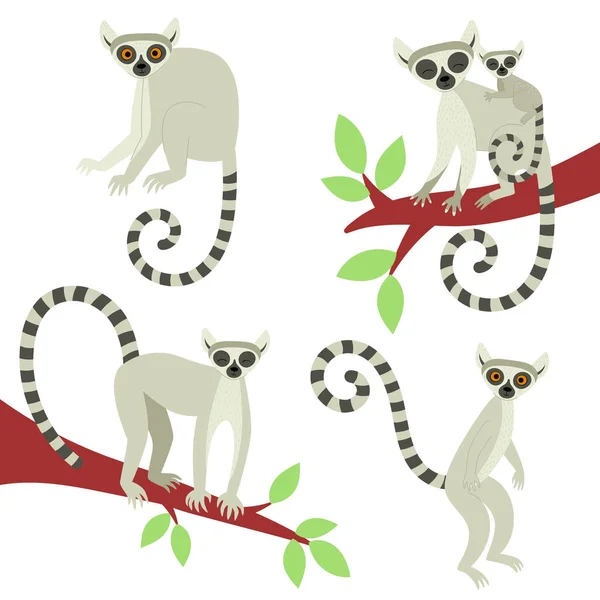 Farklı pozlarda lemurlar. Makao ve Afrika 'nın egzotik sevimli hayvanları. Düz biçimli vektör illüstrasyonu