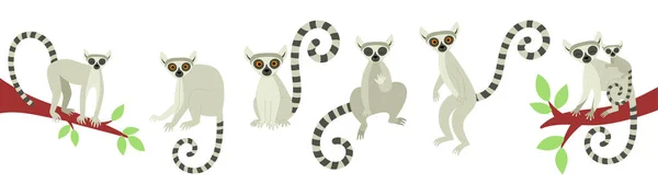 Ένα Σύνολο Λεμούριων Διαφορετικές Πόζες Εξωτικά Χαριτωμένα Ζώα Του Μαδαγασκάρη — Διανυσματικό Αρχείο