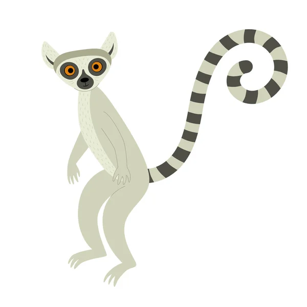 Exotische schattige maki. Dieren van Madagaskar en Afrika. Vector kinderen illustratie in platte stijl — Stockvector