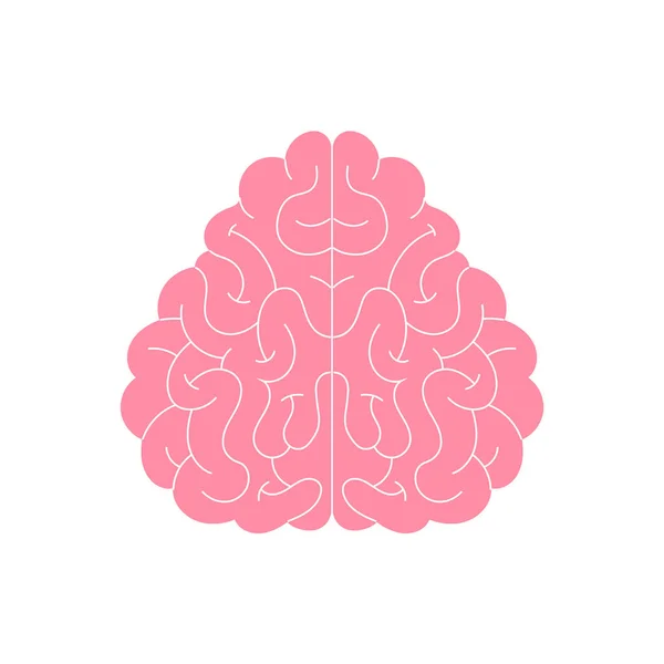 Sílhueta cerebral humana vetorial, ícone. Neuropsicologia, medicina, criatividade, problemas de memória, demência. Ilustração plana isolada sobre fundo branco — Vetor de Stock