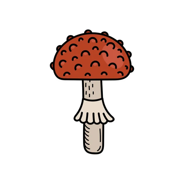 Cogumelo Bonito Estilo Doodle Cogumelo Venenoso Agaric Mosca Toadstool Ilustração —  Vetores de Stock