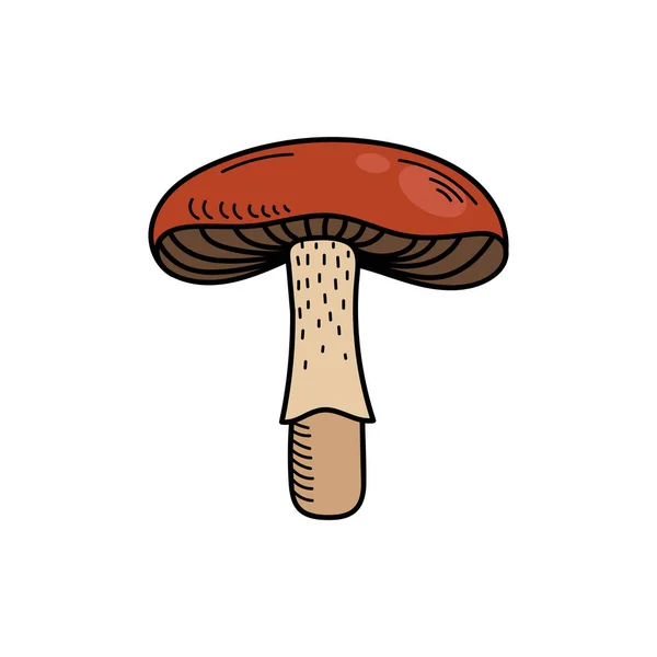 Cogumelo Bonito Estilo Doodle Cogumelo Venenoso Agaric Mosca Toadstool Ilustração —  Vetores de Stock