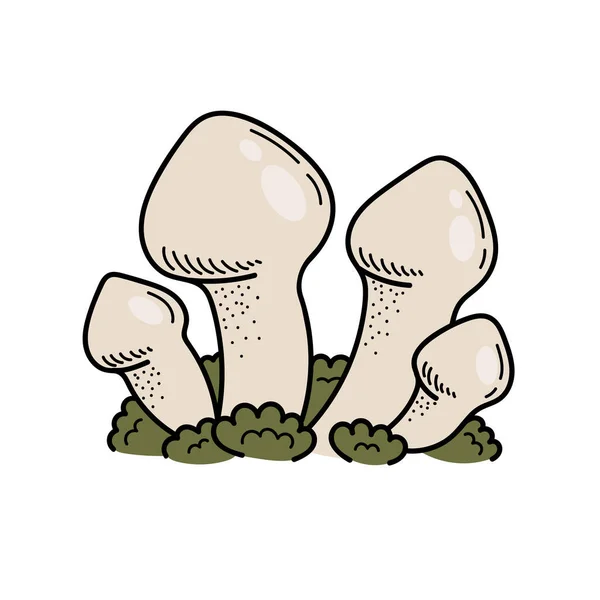 Cogumelo Bonito Estilo Doodle Cogumelo Venenoso Ilustração Vetorial Mão Isolada —  Vetores de Stock