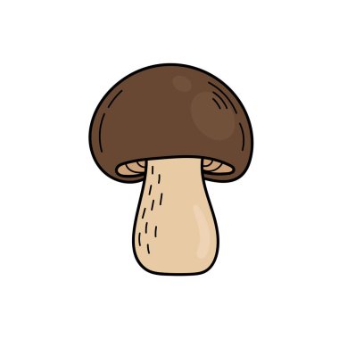 Tatlı, yenilebilir mantar, karalama tarzında. Yemek ve salata malzemeleri. Sonbahar bitkileri hasat ediliyor. Vektör el illüstrasyonu